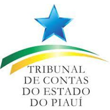 TCE PI - Tribunal de Contas do Estado do Piauí - Auditor de Controle Externo (Pós-Edital)